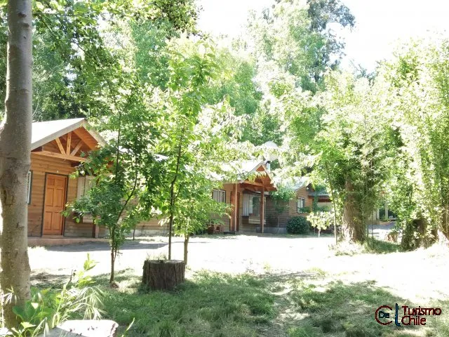 Vista exterior de cabañas de madera rodeadas de árboles en Rucalhue